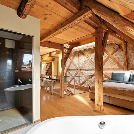 A&y Oldtown Penthouse Loft Lucerne