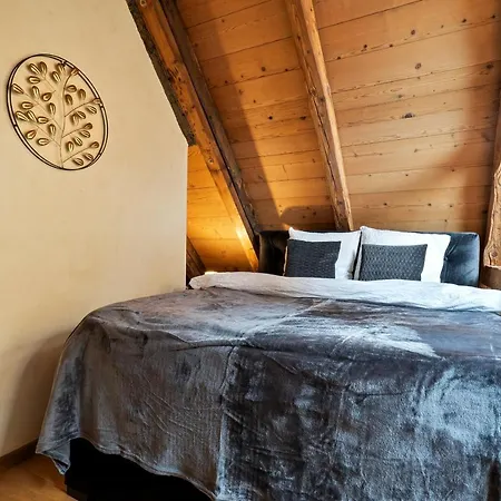 A&y Oldtown Penthouse Loft Lucerne
